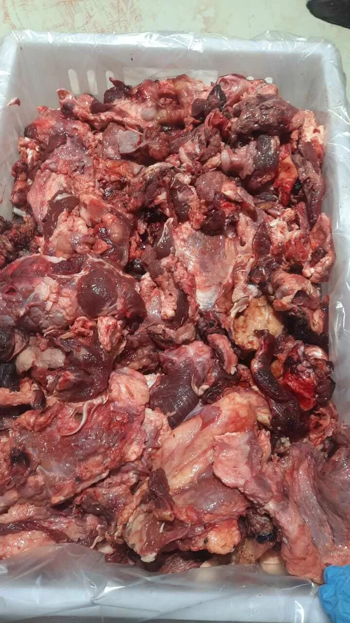 Фотография продукта Мясная обрезь с голов говяжьих