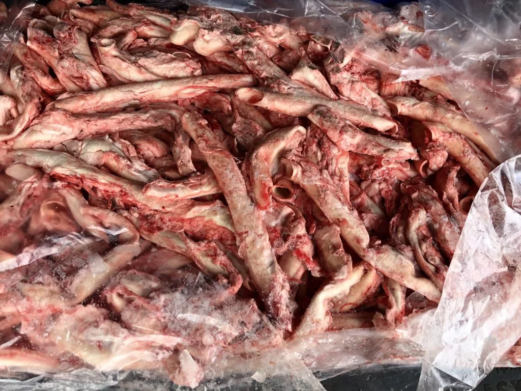 аорта свиная. аорта свиная. аорта свиная. аорта свиная. аорта свиная замороженная.